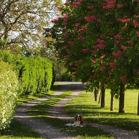 Le Domaine De La Belle Demeure Et Table D Hotes Bed and Breakfast Saint-Genes-du-Retz